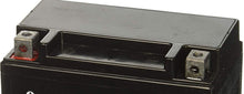Load image into Gallery viewer, Battery For Champion 100262 Generator Inverter 3500 Watts

