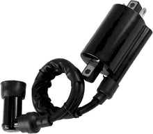 Load image into Gallery viewer, Ignition Coil Module For Linhai Bighorn 400B 400LX 400IRS UTV
