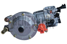 Load image into Gallery viewer, Carburetor Carb For Honda Gx160 Dual Fuel LPG NG Biogas Conversion Kit Generator
